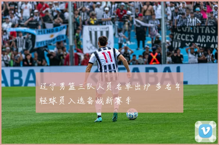 辽宁男篮三队人员名单出炉 多名年轻球员入选备战新赛季