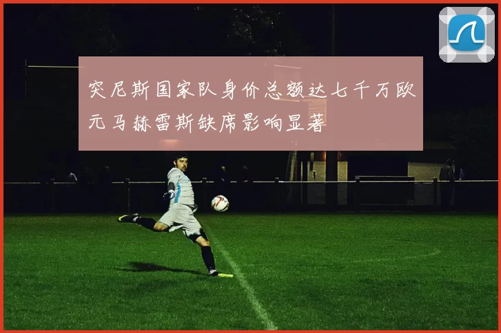 突尼斯国家队身价总额达七千万欧元马赫雷斯缺席影响显著