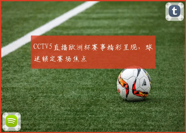CCTV5直播欧洲杯赛事精彩呈现,球迷锁定赛场焦点