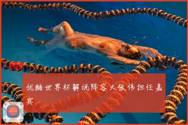优酷世界杯解说阵容大张伟担任嘉宾