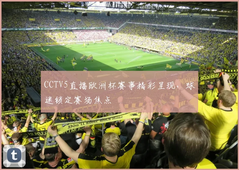 CCTV5直播欧洲杯赛事精彩呈现,球迷锁定赛场焦点