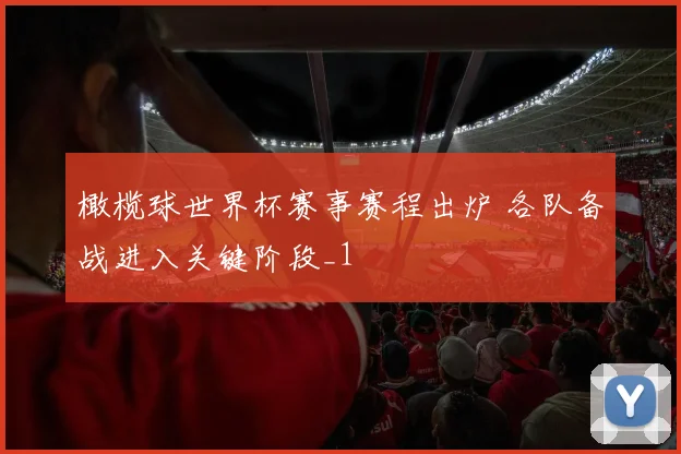 橄榄球世界杯赛事赛程出炉 各队备战进入关键阶段_1