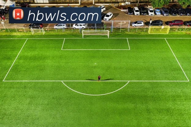 俄罗斯世界杯中国官网APP 封面图